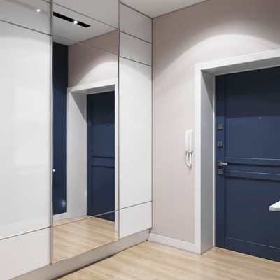 Зеркальные  двери