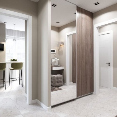 Зеркальные  двери