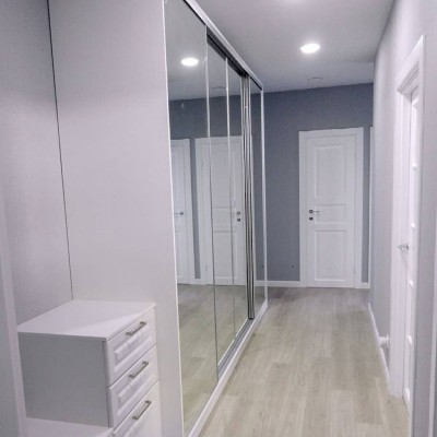 Зеркальные  двери