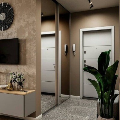 Зеркальные  двери