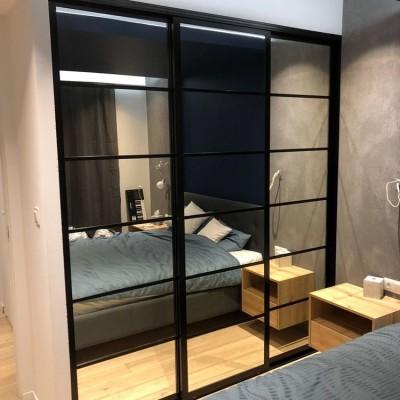 Зеркальные  двери