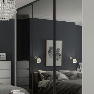 Зеркальные  двери