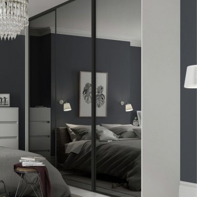 Зеркальные  двери