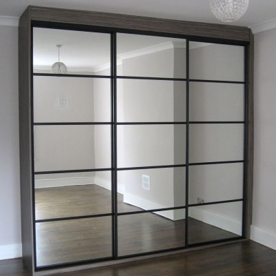 Зеркальные  двери