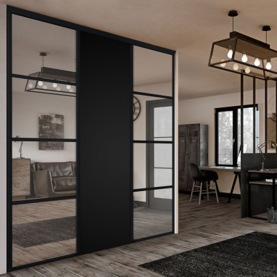 Зеркальные  двери