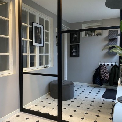 Зеркальные  двери