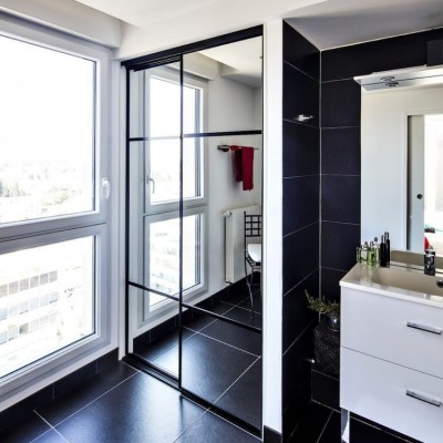 Зеркальные  двери