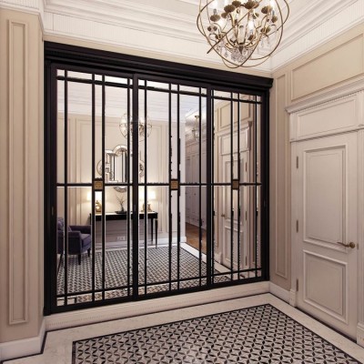 Зеркальные  двери