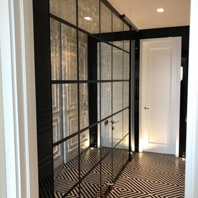 Зеркальные  двери