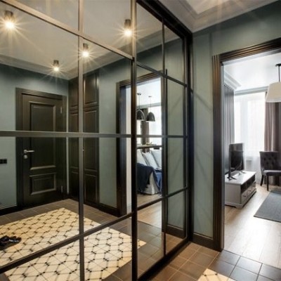 Зеркальные  двери