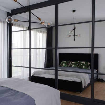 Зеркальные  двери