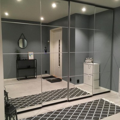 Зеркальные  двери